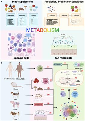 Editorial: Immunometabolism: bridging the gap between immunology and nutrition